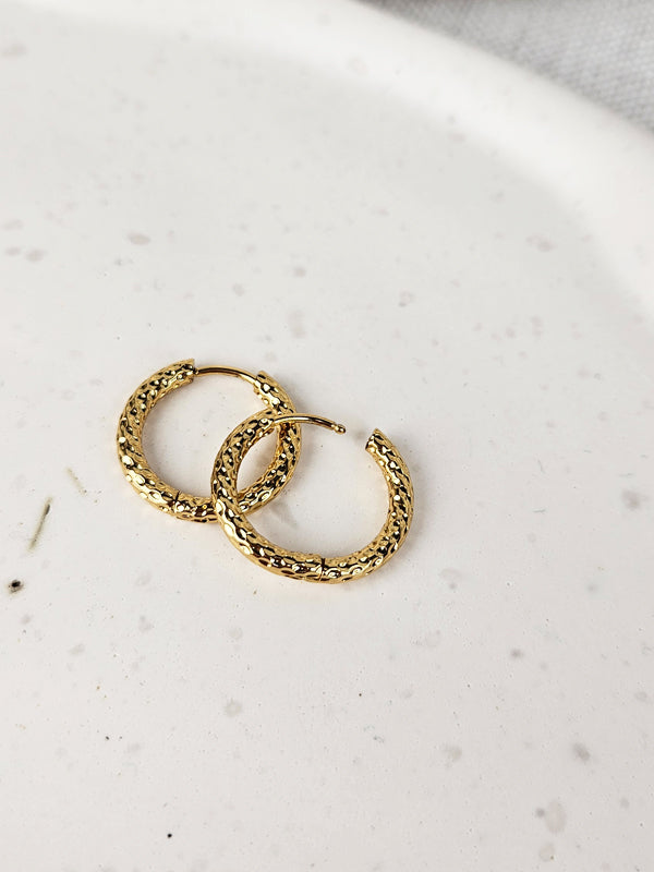 Pendientes de acero inoxidable Anillos Adriana oro