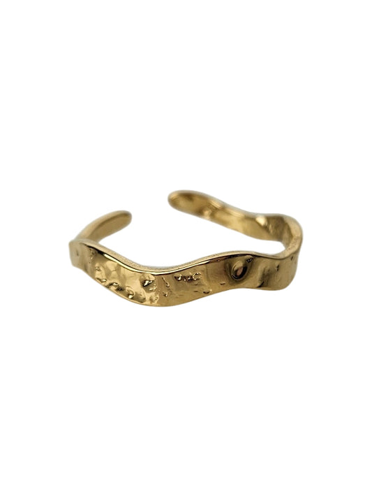 Anillo de acero inoxidable Rama dorado