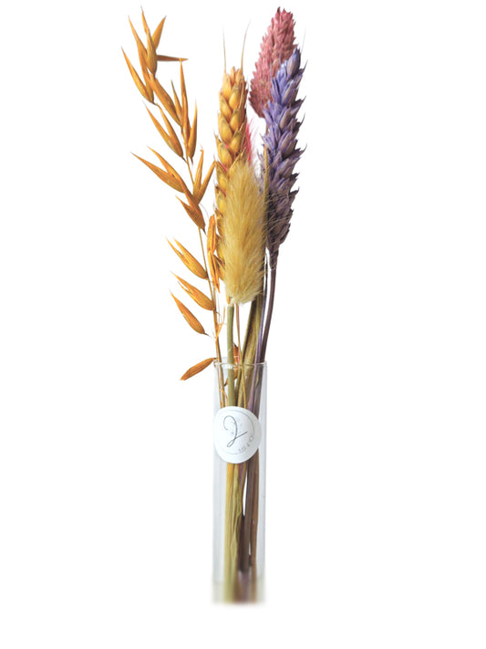 Flores de Just4You Tube – de colores