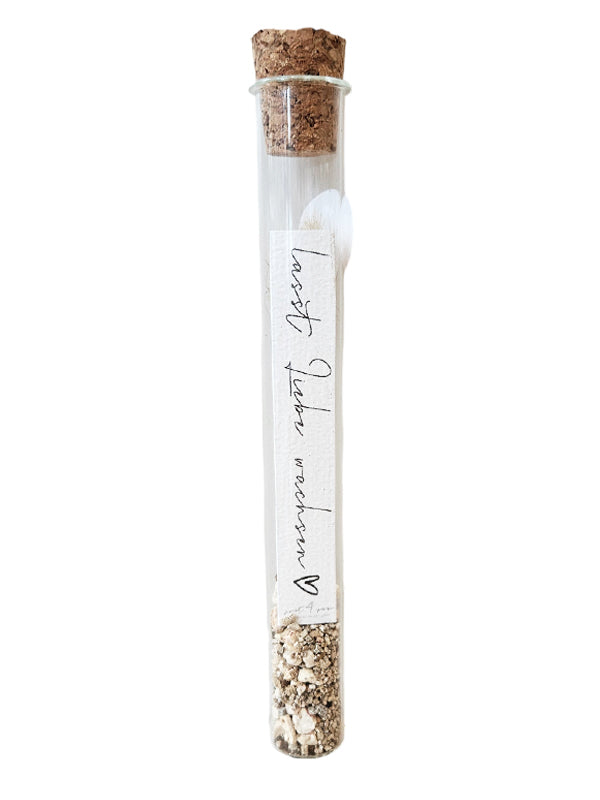 Tubo de semillas de flores Just4You