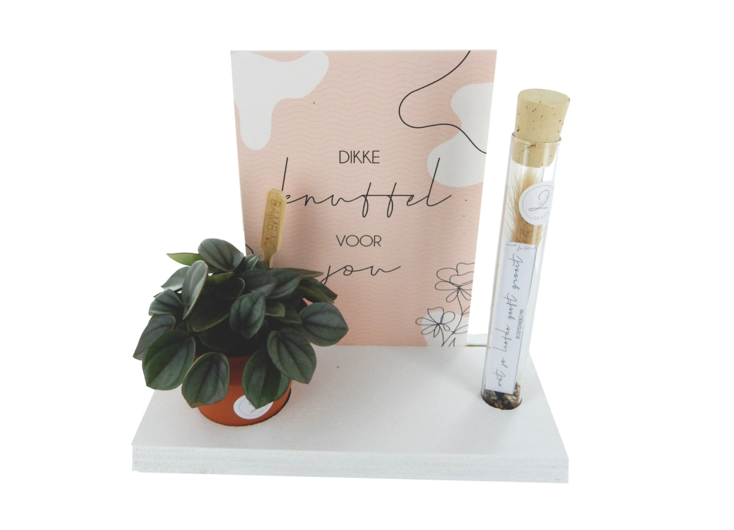Elemento básico Just4You – blanco